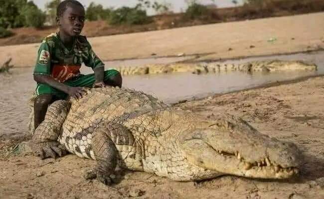 Sacred Crocodiles in Bazoule, Burkina: Where Children Play Without Fear